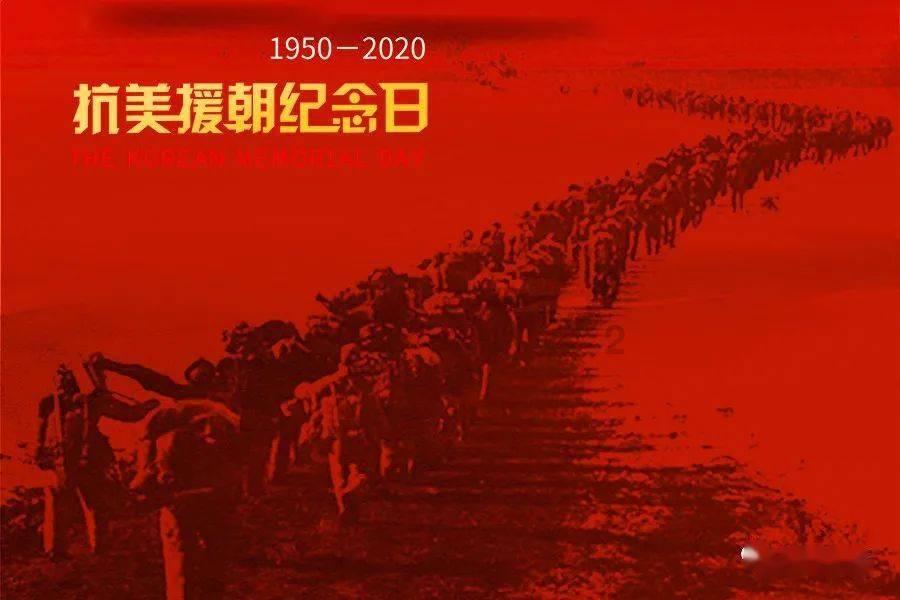救援猫与武士